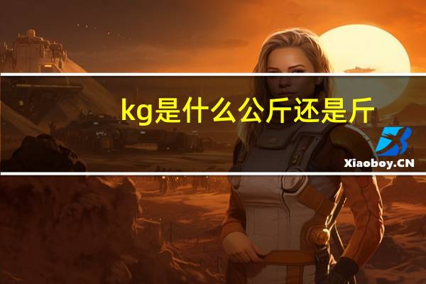 kg是什么公斤还是斤