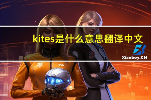 kites是什么意思翻译中文