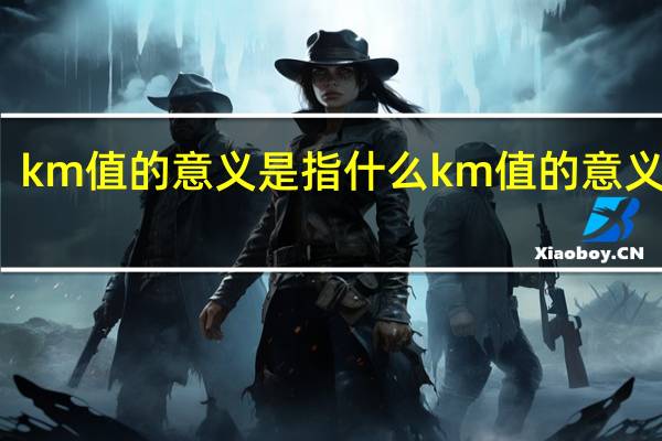 km值的意义是指什么km值的意义介绍
