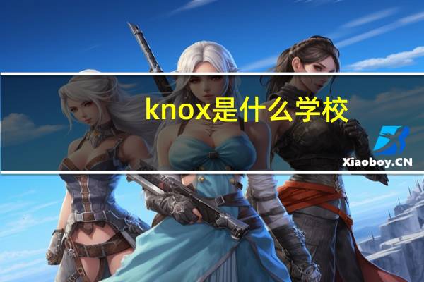 knox是什么学校