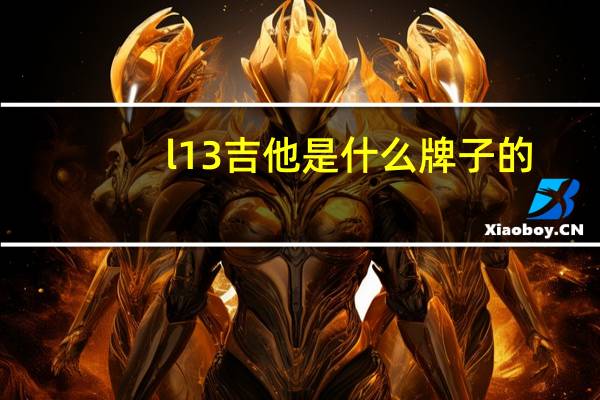 l13吉他是什么牌子的