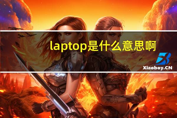 laptop是什么意思啊（laptop是什么意思）