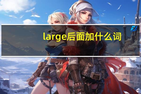 large后面加什么词