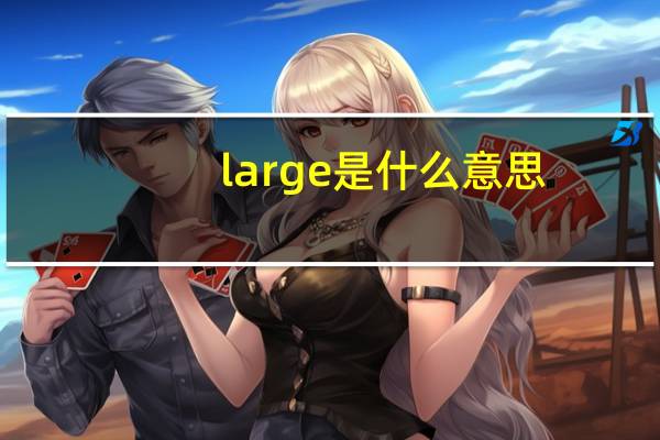 large是什么意思