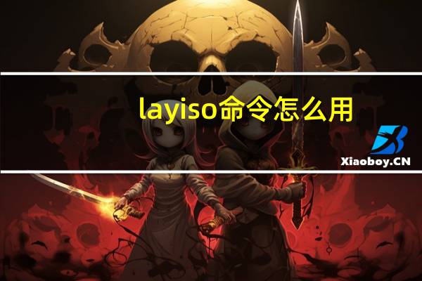layiso命令怎么用