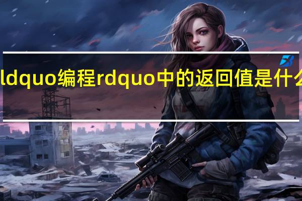 ldquo编程rdquo中的返回值是什么意思？