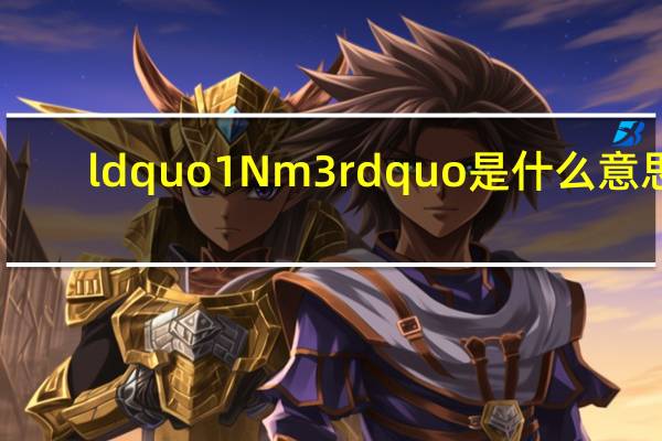 ldquo 1Nm3 rdquo是什么意思?