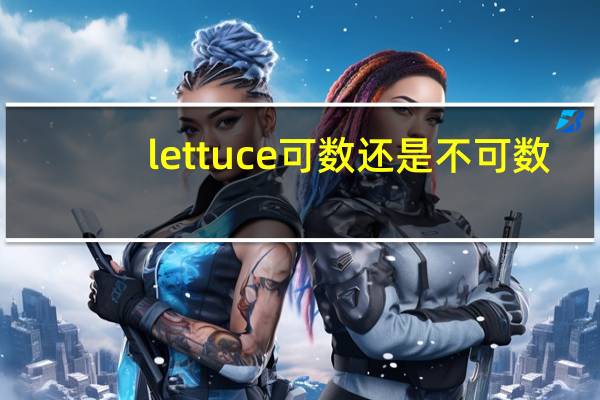 lettuce可数还是不可数