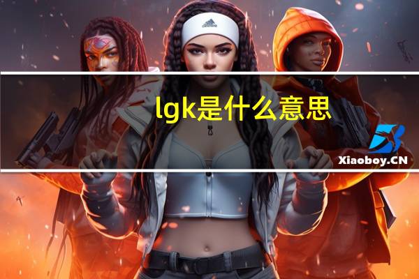 lgk是什么意思（lgku990）