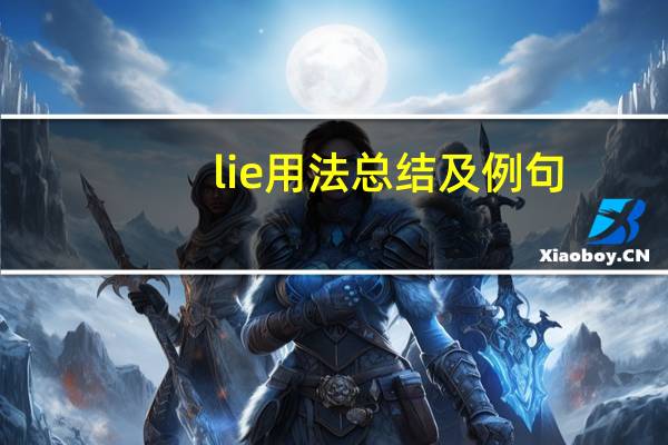 lie用法总结及例句