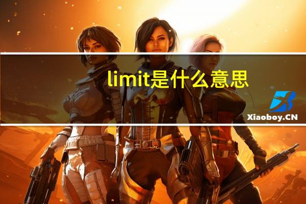 limit是什么意思