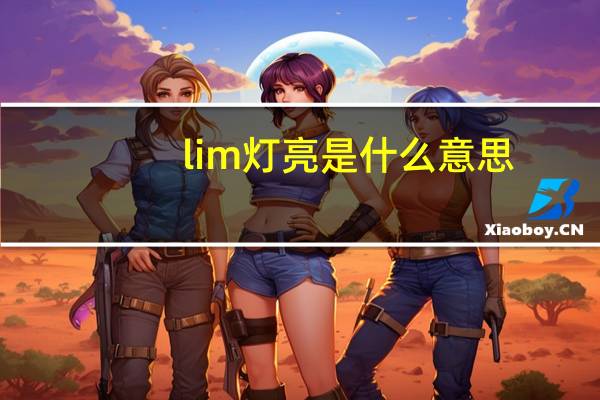 lim灯亮是什么意思