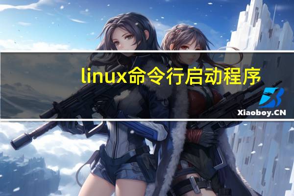 linux命令行启动程序
