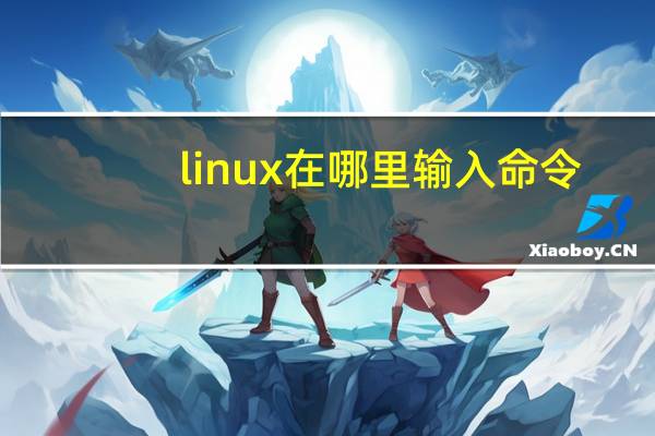 linux在哪里输入命令