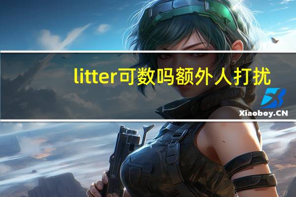 litter可数吗额外人打扰