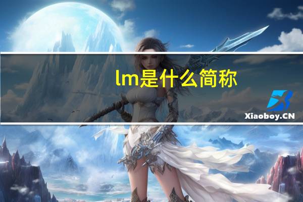 lm是什么简称