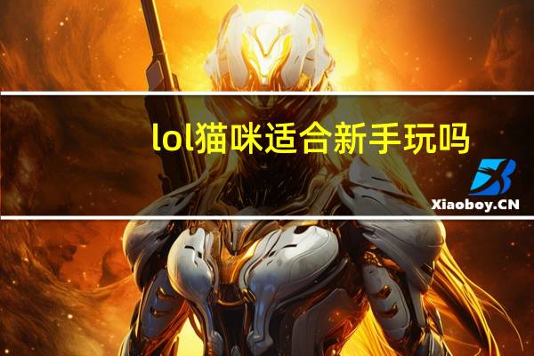lol猫咪适合新手玩吗