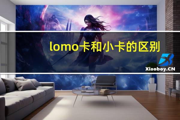 lomo卡和小卡的区别