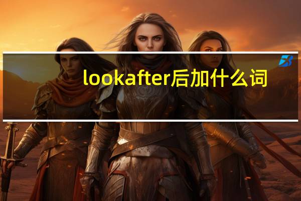 look after后加什么词
