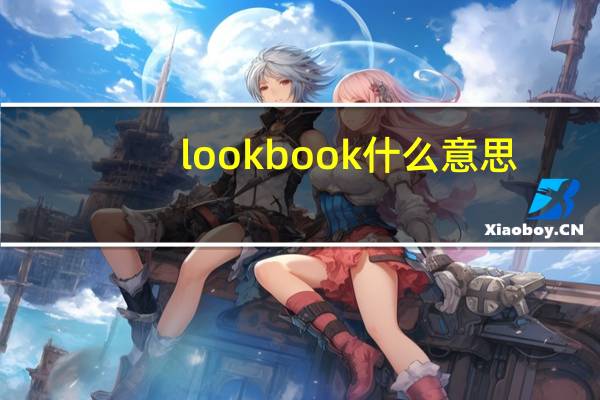 look book什么意思