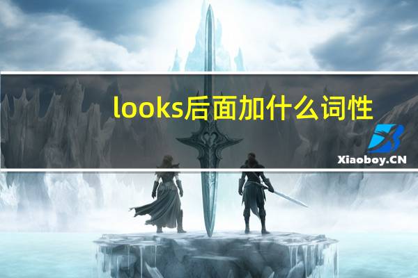 looks后面加什么词性