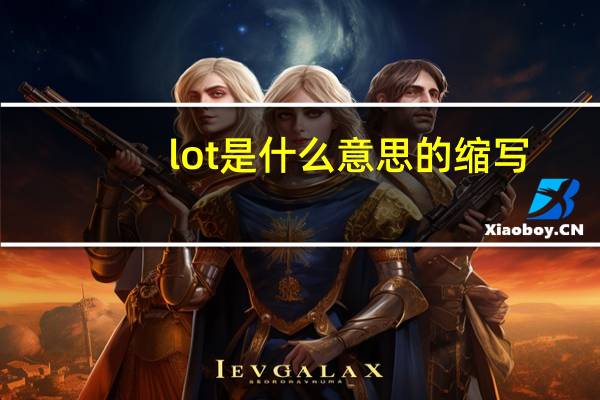 lot是什么意思的缩写