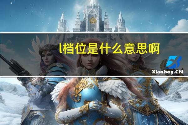 l档位是什么意思啊