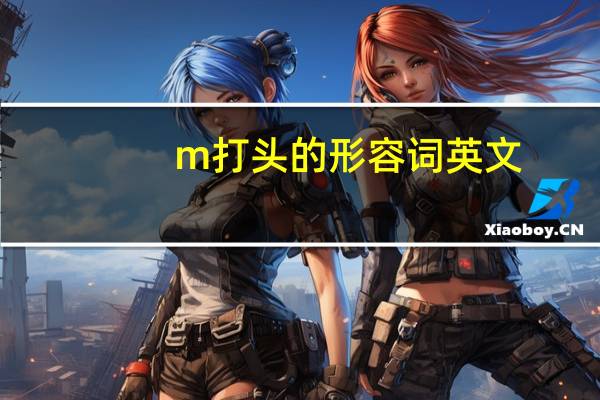 m打头的形容词英文