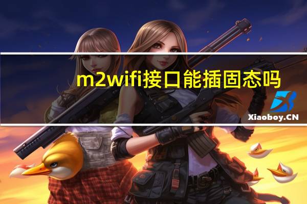 m2wifi接口能插固态吗