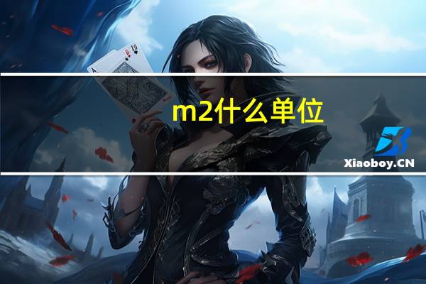 m2什么单位