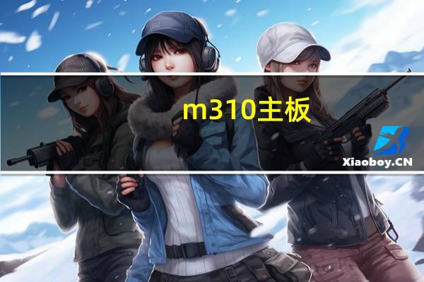 m310主板（m310）