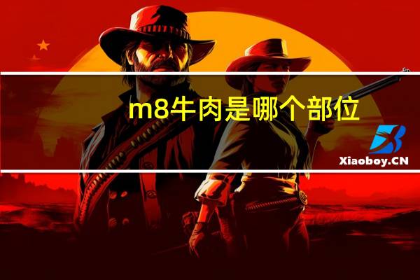m8牛肉是哪个部位