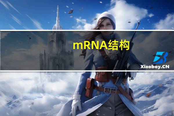 mRNA结构