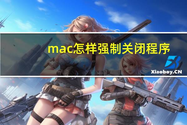 mac怎样强制关闭程序