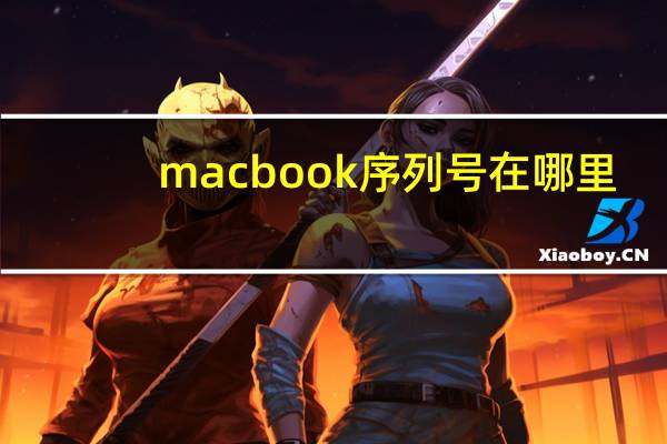 macbook序列号在哪里