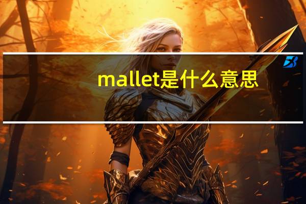 mallet是什么意思（mall是什么意思）