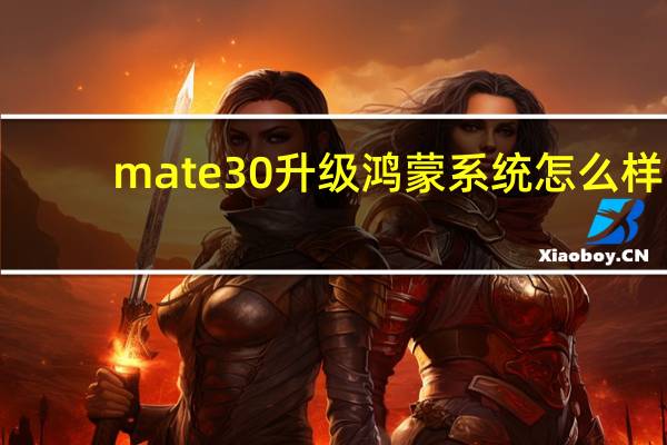 mate30升级鸿蒙系统怎么样（mate30升级鸿蒙系统）