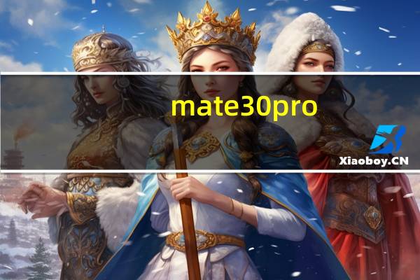 mate30pro 芯片是几纳米