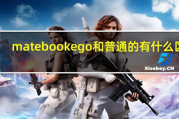 matebookego和普通的有什么区别