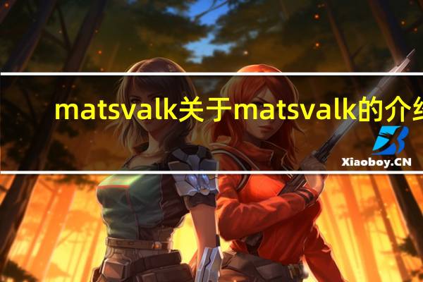 mats valk 关于mats valk的介绍
