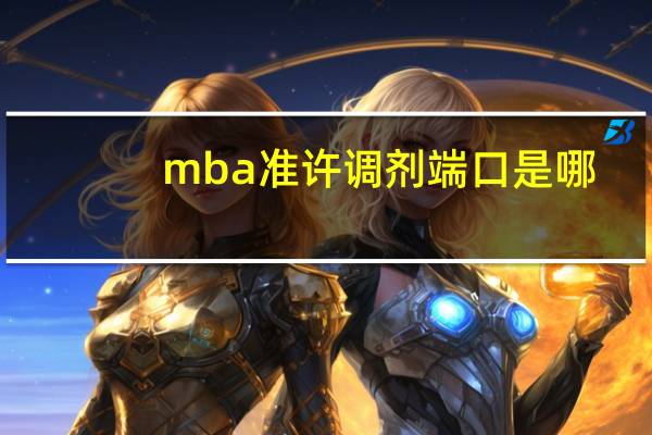 mba准许调剂端口是哪