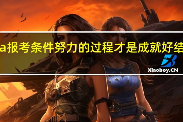 mba报考条件努力的过程才是成就好结果的关键