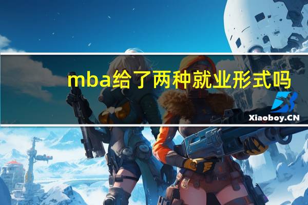 mba给了两种就业形式吗