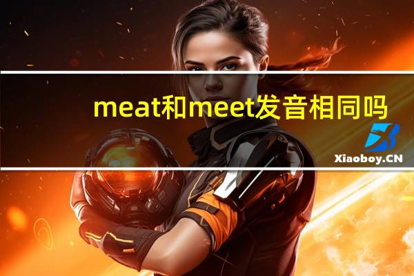meat和meet发音相同吗