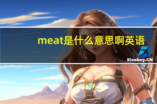 meat是什么意思啊英语