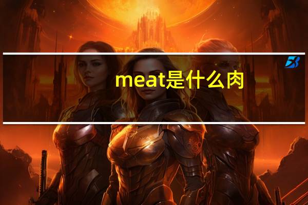 meat是什么肉