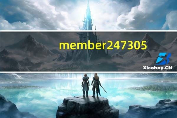 member 247 305（member 247）