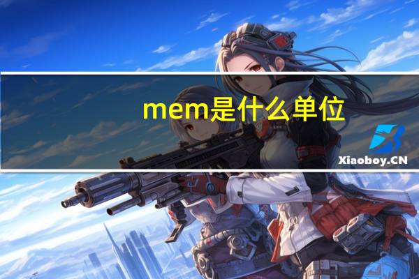 mem是什么单位