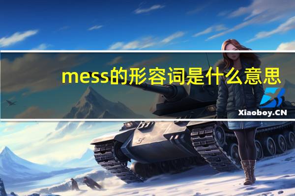 mess的形容词是什么意思
