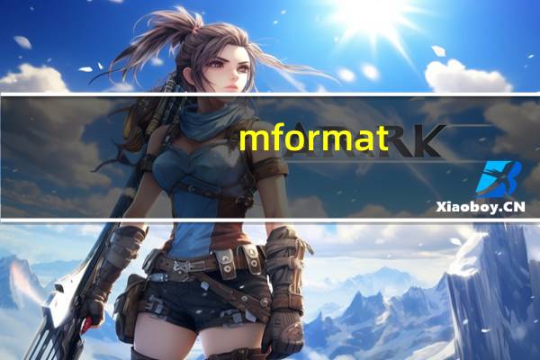 mformat(u盘修复工具) v1.0 汉化版(mformat(u盘修复工具) v1.0 汉化版功能简介)